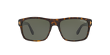 Tortoise Tan