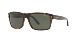 Tortoise Tan