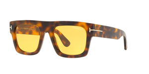 Tortoise - Brown