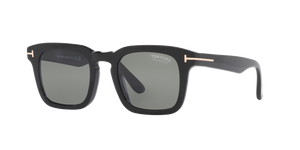 Black Shiny - Grey Polarized