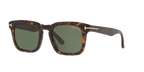 Tortoise