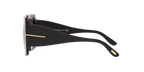Black Shiny