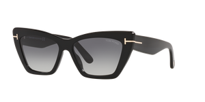 Black Shiny - Grey Gradient
