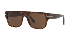 Tortoise - Brown
