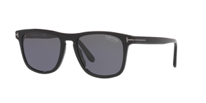 Black Shiny - Grey Polarized