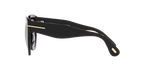 Black Shiny