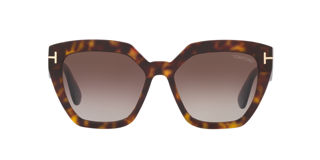 Tortoise Black