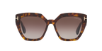 Tortoise Black
