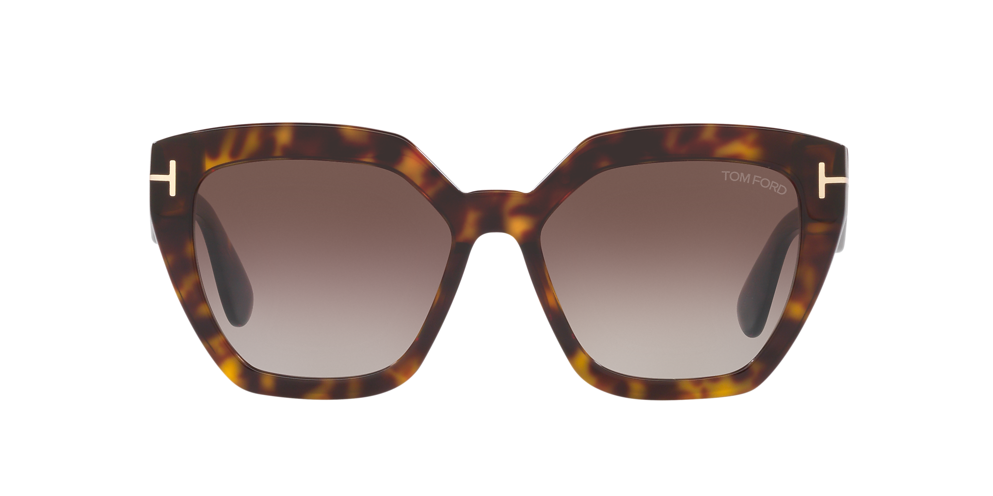 Tortoise Black