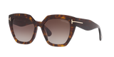 Tortoise Black