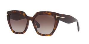 Tortoise Black - Brown Gradient
