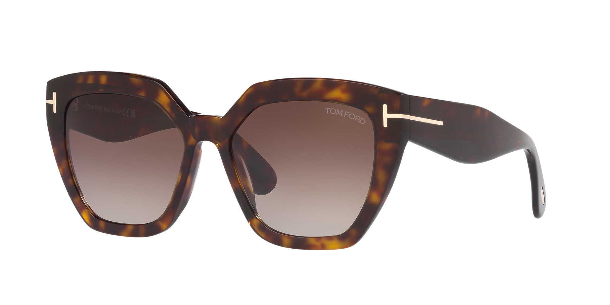 Tortoise Black