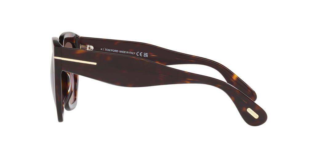 Tortoise Black