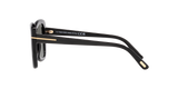 Black Shiny