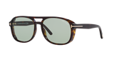 Tortoise Black