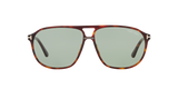 Tortoise Red