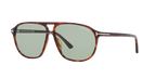 Tortoise Red