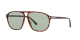 Tortoise Red