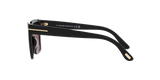 Shiny Black