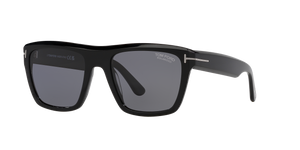 Black Shiny - Grey Polar