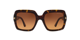 Tortoise Black