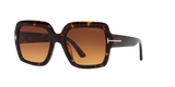 Tortoise Black