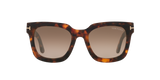 Tortoise Black