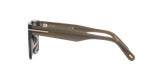 Brown Shiny