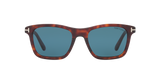 Tortoise Red