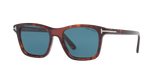 Tortoise Red