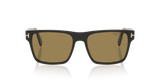 Black Shiny