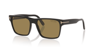 Black Shiny - Brown Polarized