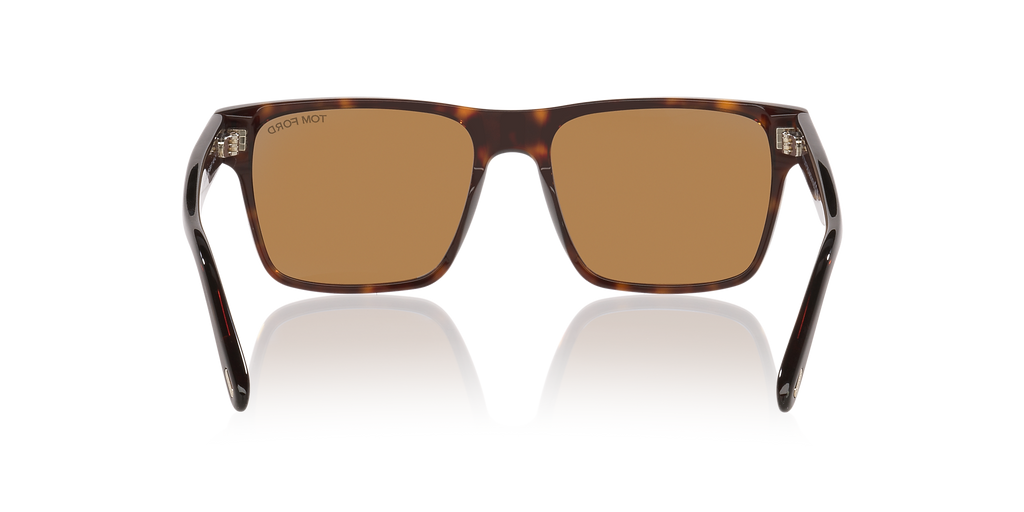 Tortoise Black