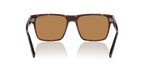Tortoise Black