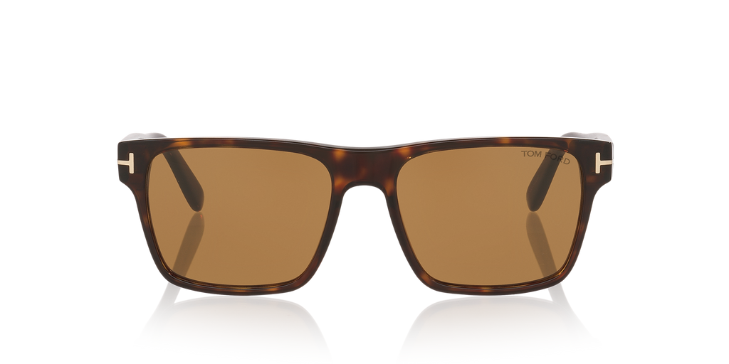 Tortoise Black
