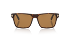 Tortoise Black