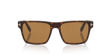 Tortoise Black