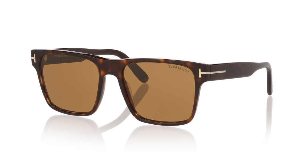 Tortoise Black