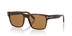 Tortoise Black