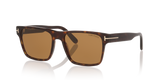 Tortoise Black