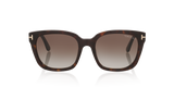 Tortoise Black