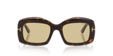 Tortoise Black