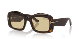 Tortoise Black