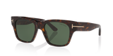 Tortoise Black