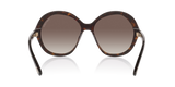 Tortoise Black
