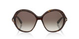 Tortoise Black