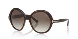 Tortoise Black