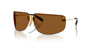 Shiny Gold  - Brown