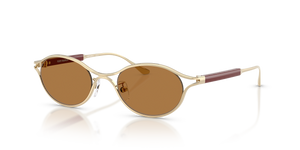 Shiny Light Gold  - Brown