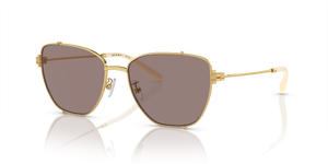 Shiny Gold  - Light Purple Brown